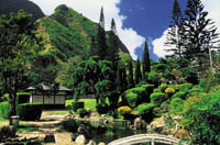 One Day to Maui Haleakala, Iao Valley and Old Lahaina from Oahu