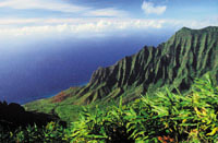 One Day tour to Kauai - Waimea Canyon and Wailua River from Oahu