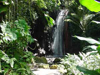 Land and Sea Safari to Soufriere, St Lucia
