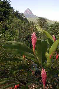 Magical Soufriere - A Heritage Tour of St Lucia