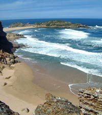 Four Day Garden Route Splendor - Cape Town to Port Elizabeth