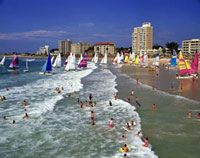 Half Day Port Elizabeth Afternoon Tour