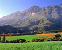 Half Day Winelands Tour To Stellenbosch Region