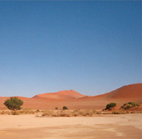 Three Day Sossusvlei Experience from Windhoek