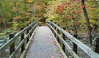Washington DC Wheelchair Day Rental