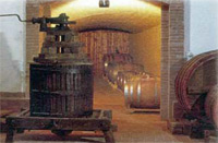 Taste of Italy Day Tour from Rome