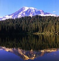 Mt Rainier Day Tour from Seattle