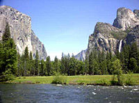 Yosemite and Giant Sequoias Minivan Tour