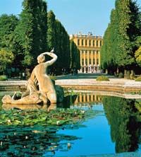 Welcome to Vienna - Vienna Card, Hop on Hop off Tour, Morning Tea and Lunch or Dinner