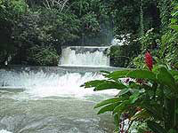 Black River Safari