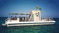 Coral See