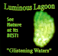 best time to visit luminous lagoon jamaica