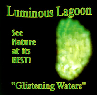 Jamaica's Luminous Lagoon