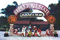 Jamaica's South Coast Special