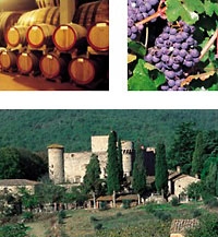 Chianti Region with Wine Tasting Afternoon Tuscany Tour from Florence