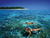 Green Island Half Day Trip from Cairns