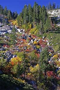 Private Tahoe Seasonal Photography Tour