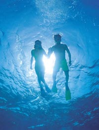 Low Isles Reef Cruise from Cairns aboard Luxury Sailing Catamaran 