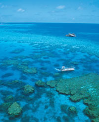 Quicksilver Outer Great Barrier Reef Cruise from Cairns