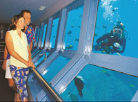 Quicksilver Outer Great Barrier Reef Cruise from Cairns