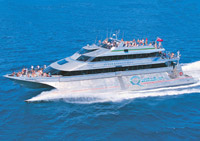 Quicksilver Outer Great Barrier Reef Cruise from Port Douglas