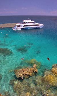 Silversonic Dive and Snorkel Cruise to Agincourt Ribbon Reef from Palm Cove