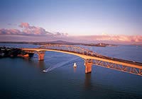 Auckland Ultimate Bungy Jump Spectator