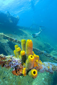 Happy Hour Snorkel Sail in Aruba