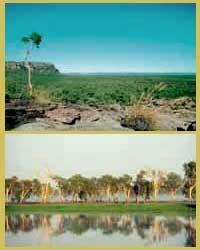 Darwin and Kakadu Package