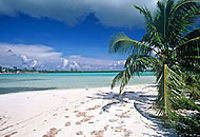 Tropical Islands of Rio de Janeiro