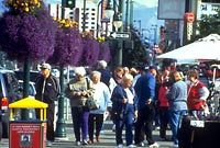 Anchorage Highlights Tour