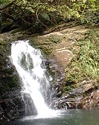 Bach Ma National Park