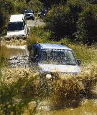 Rotorua 4WD Bush Safari Tour