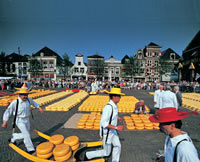 Half Day Tour to Alkmaar Cheese Market and Schermerhorn Windmills