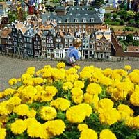 North and South - Zaanse Schans Windmills, Marken, Volendam, Delft, Madurodam