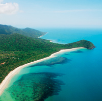 Daintree and Cape Tribulation 4WD Tour