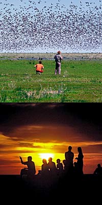 Desert Venturer 4-day Tour (cairns To Darwin)