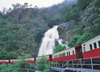Kuranda All Inclusive Tour (from Port Douglas)