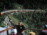 Kuranda All Inclusive Tour