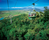 Kuranda Coach and Skyrail Tour