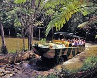 Kuranda Rail, Rainforestation and Skyrail Tour