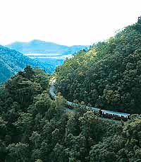 Kuranda Rail, Rainforestation and Skyrail Tour