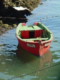 Portugal  - Private Full Day Tuna Tour - Faro Olhao Tavira Villa Real Santo Antonio activities