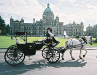 Beacon Hill Park Carriage Tour