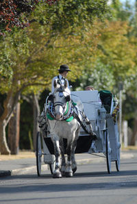 The Royal Carriage Tour