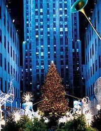 New York City Holiday Lights Tour