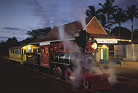 Lahaina Kaanapali Railroad BBQ Dinner and Show