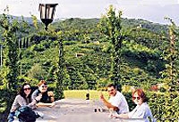 Hill Towns of Veneto Tour from Venice