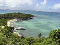 Bird Island Snorkel