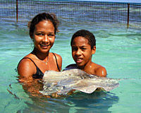 Swim with the Stingrays in Antigua